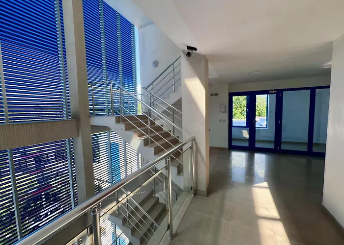 Excelsior - Premium 50m To The *